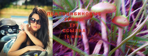 первитин Михайлов