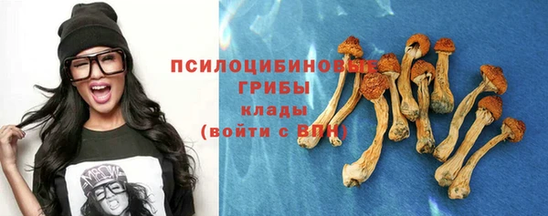 ешки Михайловск